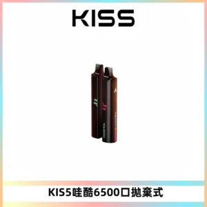 KIS5WAGOO哇酷6500口拋棄式 | 自由混搭雙口味 | 雙芯組合