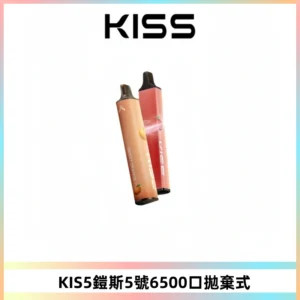 KIS5鎧斯5號一次性6500口磁吸式拋棄式電子煙#自由混搭#